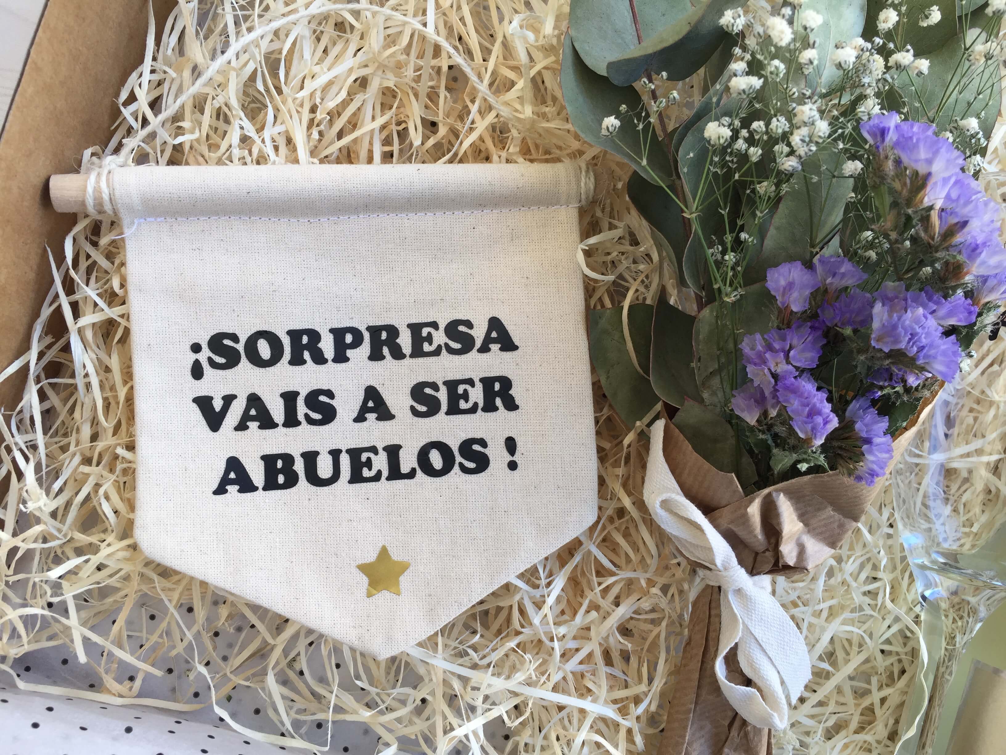 Pack regalo ¡ sorpresa , vais a ser abuelos !